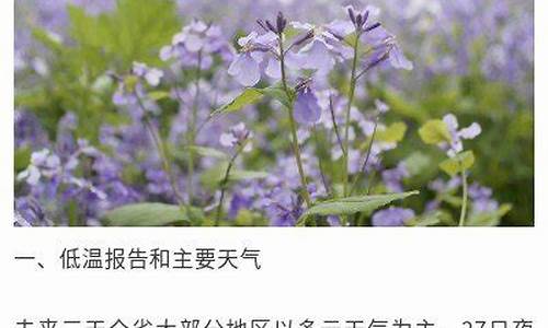 扬州未来一周天气情况表一览表_扬州未来天气预报30天